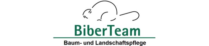 Logo Biber Team 2
